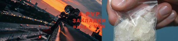 СК Богданович
