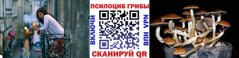 Галлюциногенные грибы ЛСД  Донецк 